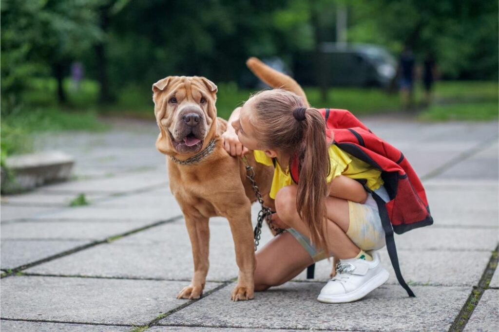 Girl going back to school and saying goodbye to dog.